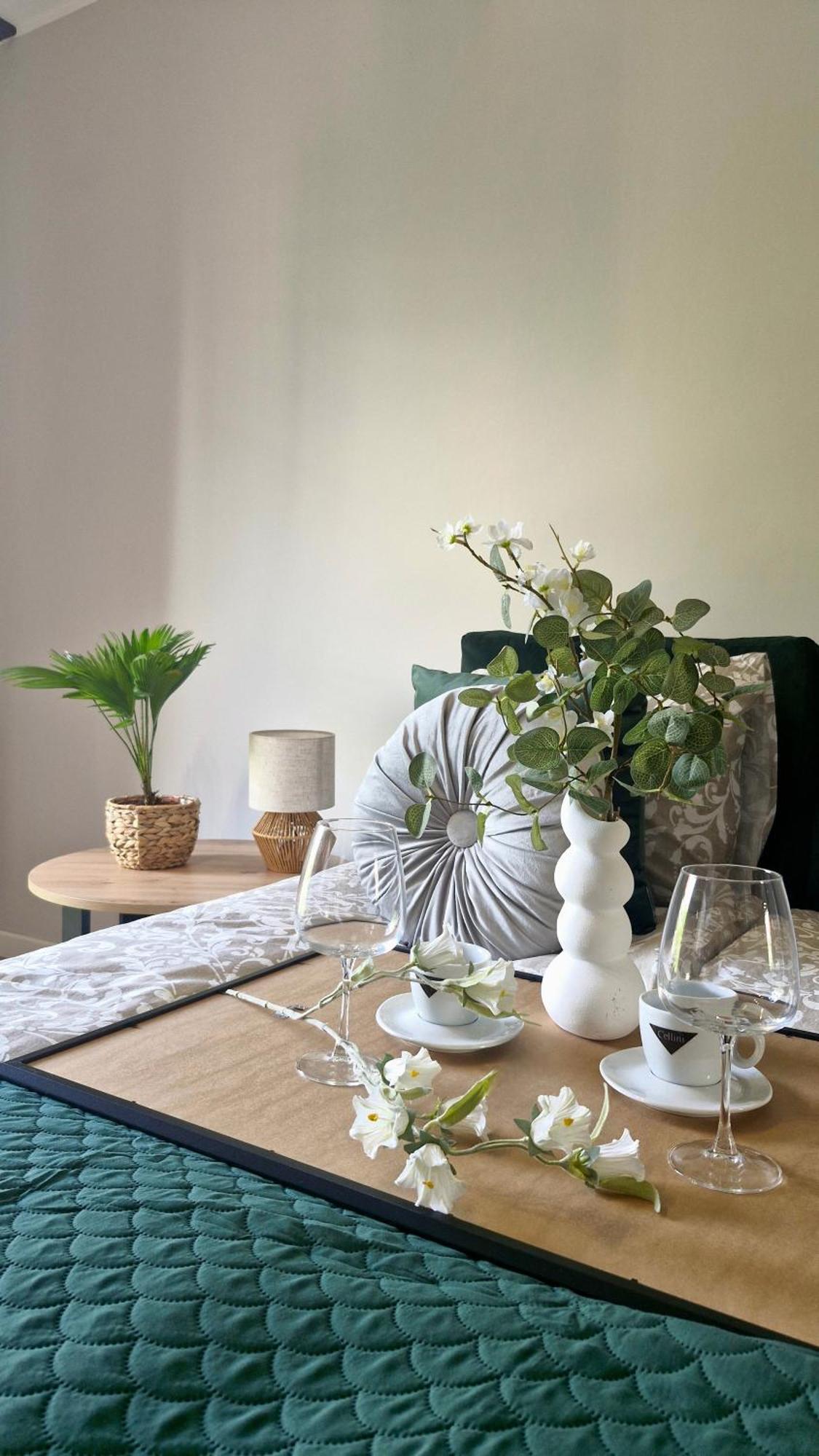 Apartament Elite 1 Jezyce- Baranczaka 1