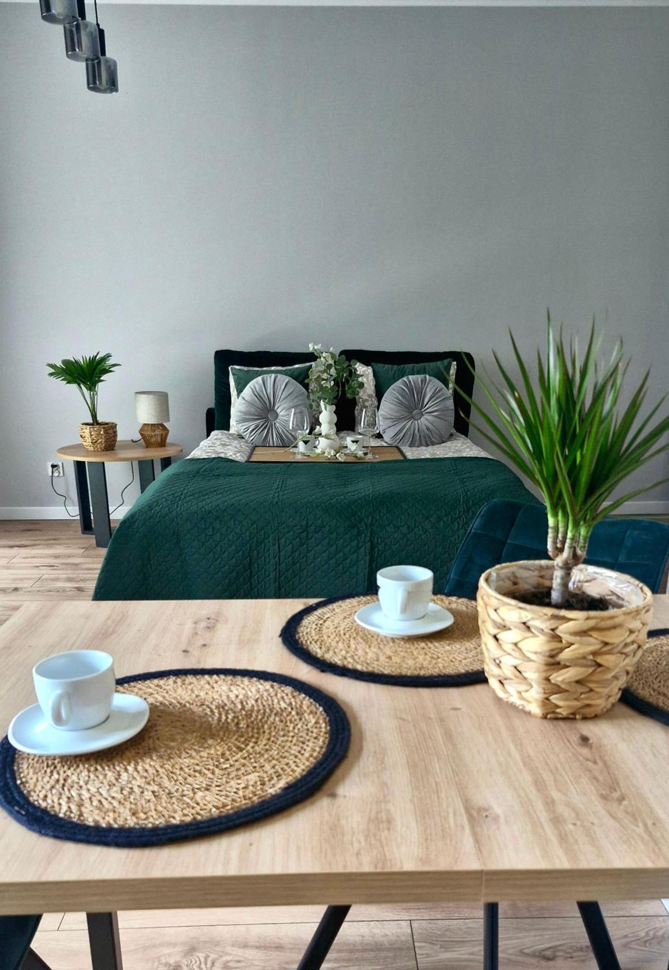 Apartament Elite 1 Jezyce- Baranczaka 1 Poznań